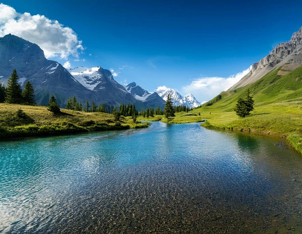 Optez pour la location d'utilitaires pour un déménagement réussi à villeurbanne